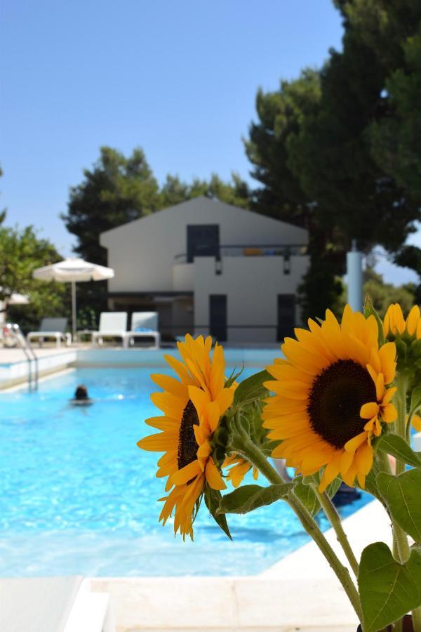 Villa Pefki Chrissi Akti Chania Exterior foto